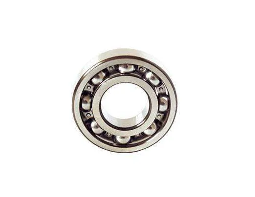 Single Row Deep Groove Ball Bearing (6021)