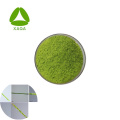Organic ISO90001 Aphanizomenon Fos Aquae Extract Pulver