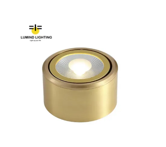 3W Golden Modern Adjustable Angle Spotlight LED Ceiling Lamp for Living Room and Bedroom