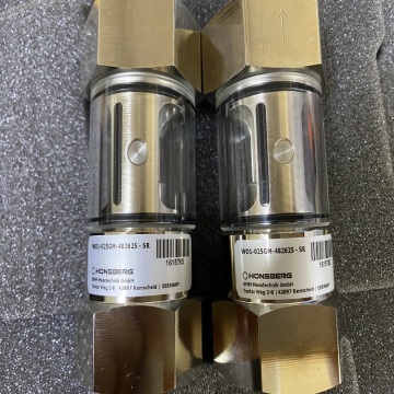 HONSBERG WO1-025GM WO1 Series Flow Indicator