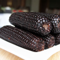 Mazorias de maíz cera dulces negras de calidad