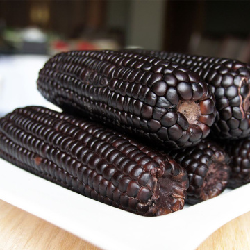 Espigas de milho de cera doce preto de qualidade