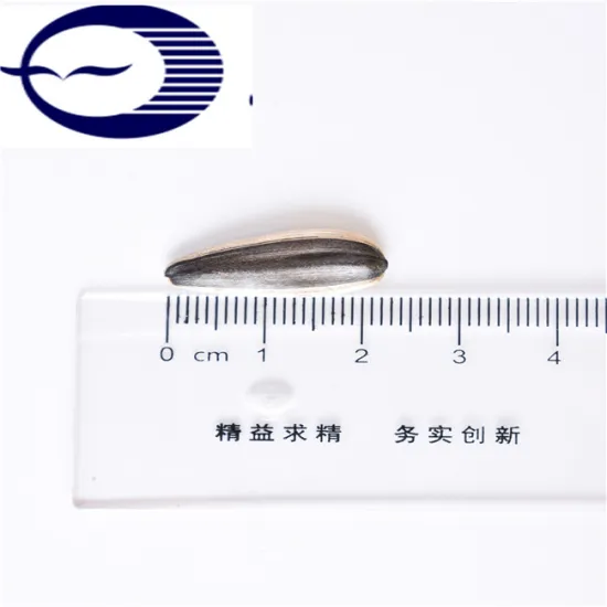 Hemp Seeds/Organic Hemp Seeds/ Hemp Seeds for sales