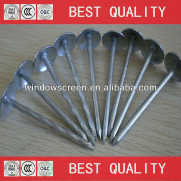 BWG8 iron roofing nail with umbrella head