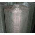 Square Wire Mesh Electro Galvanized Square Wire Mesh Supplier