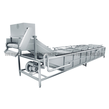 Dragon Fruit Processing Machinery: Washing, Grading, Drying, and Packing Solutions