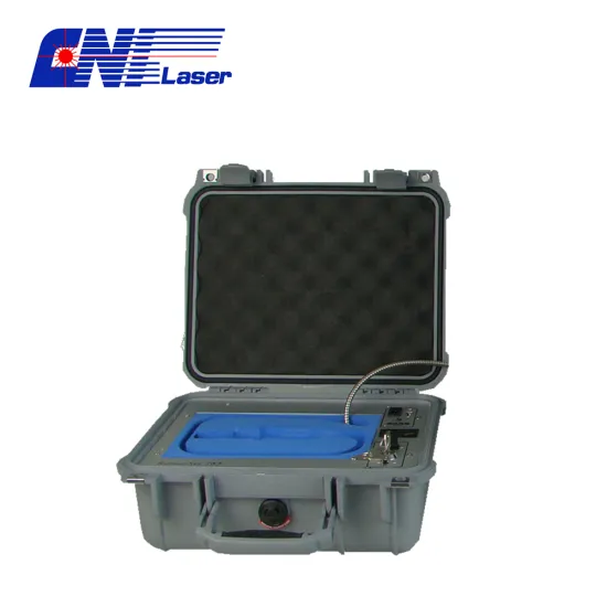 High sensitivity Portable Raman Spectrometer for food safety