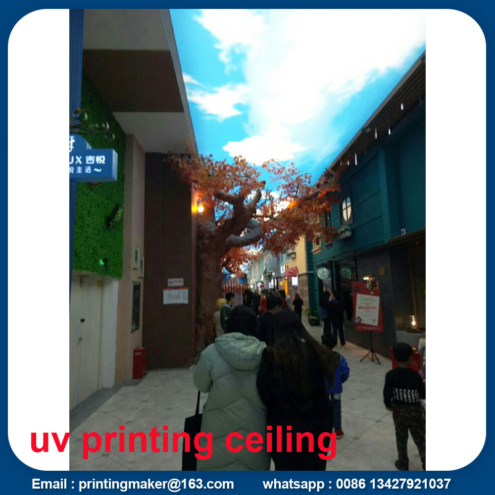 ceiling with full color printing