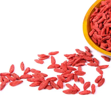 Organic  Nature Ningxia Goji Berry