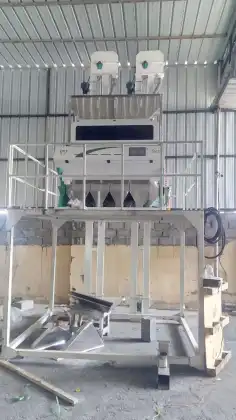 Black Raisins Color Sorter Machine - Red and Green Raisin Sorting with 1.4-5 Tons/Hr Capacity