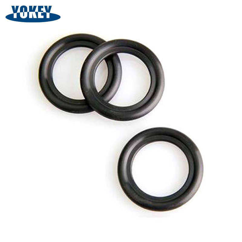 Double Lip Oil Seal Environment Durable Rubber Seal Ring