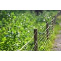 Campa de gado Fence Farm Fire Mesh Animal Fence