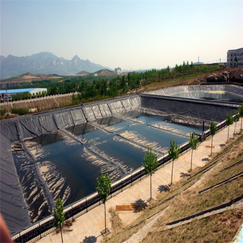 HDPE Prawn Pond Liner Aquaculture Geomembrane 40mils