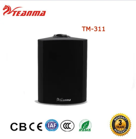 Fashion live sound Broadcast 4" 5" 6" 70v 100v two way 20W 30w 40w conference wall plug-in speaker