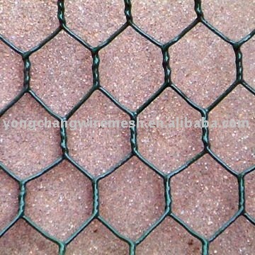 Chicken Wire Netting