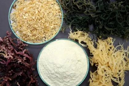 seaweed lota carrageenan food additive