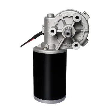 5 rpm 10 rpm DC Gear Motor Customizable