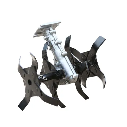 Cultivate Head: Your Path to Personal Growth