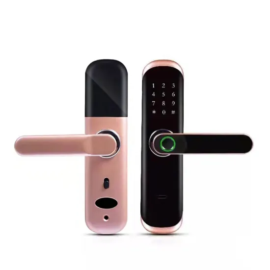 Patent DIY Biometric Fingerprint Door Lock