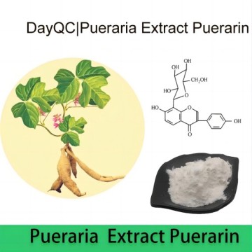 천연 추출물 Pueraria 추출물 Puerarin