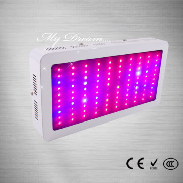 100pcs AC220 LED 빛을 성장