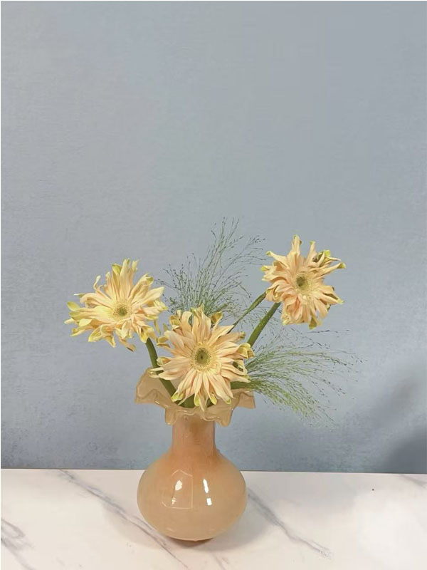Shangri-La Gerbera5