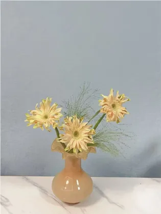 Shangri-La Gerbera roll edge