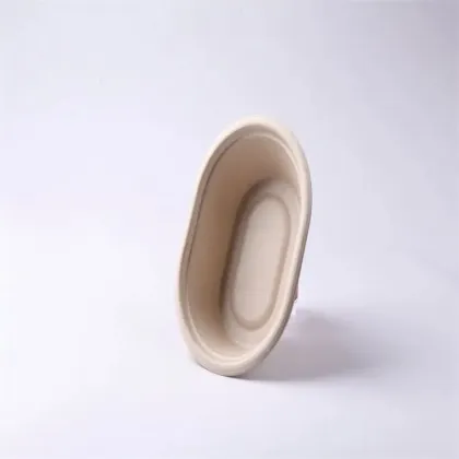 Biodegradable Fast Food Container/Food Box/Lunch Box