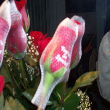 Plastic Protective Sleeve Rose Net