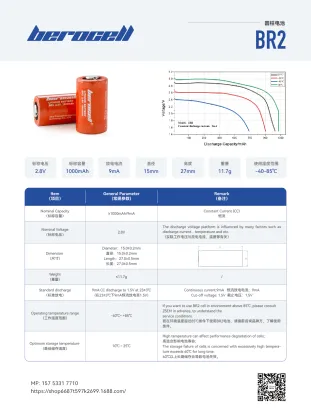 BR2 Power Solution for Electronic Devices