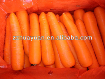 2015 New Crop Fresh Carrot