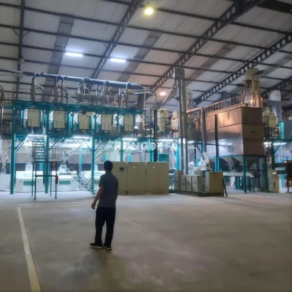 Hongdefa 100T Maize Corn Grain Processing Machinery