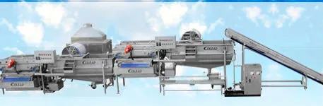 bean sprout washing and peeling machine/rinsing machine for bean sprout