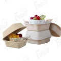 China Disposable degradable packing box Manufactory