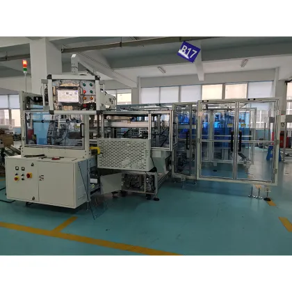 Fully Automatic packing machine online with Japan Asano themoforming machine