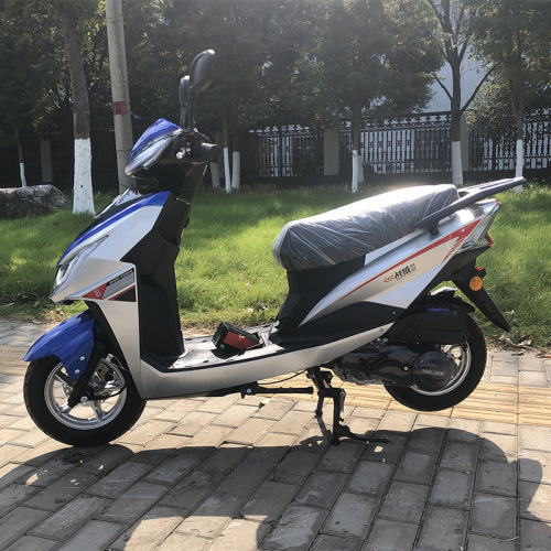 OEM E-MOPED 800W | Dual Hydraulic Disc | CKD/SKD Custom
