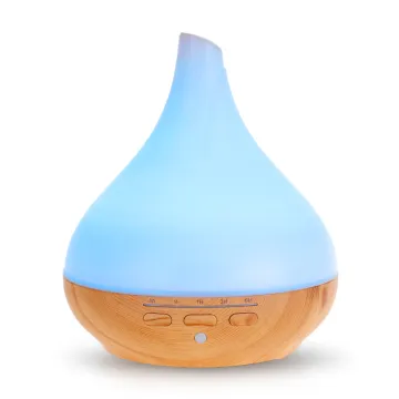 2020 New Arrivals Essential Oil Aromatherapy Diffuser