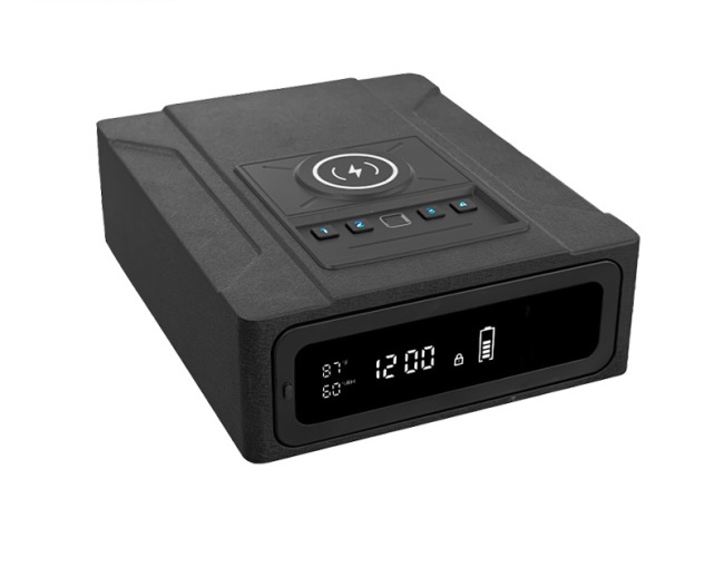 Slide-out Gun Safe WX005