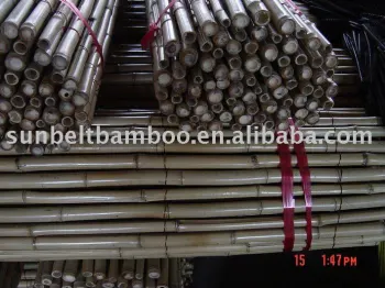 Bamboo fence Sun-025