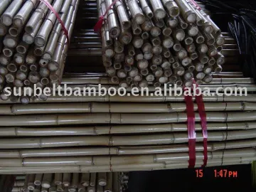 Bamboo fence Sun-025