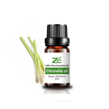 Óleo essencial de óleo essencial de citronela Óleo de massagem orgânica