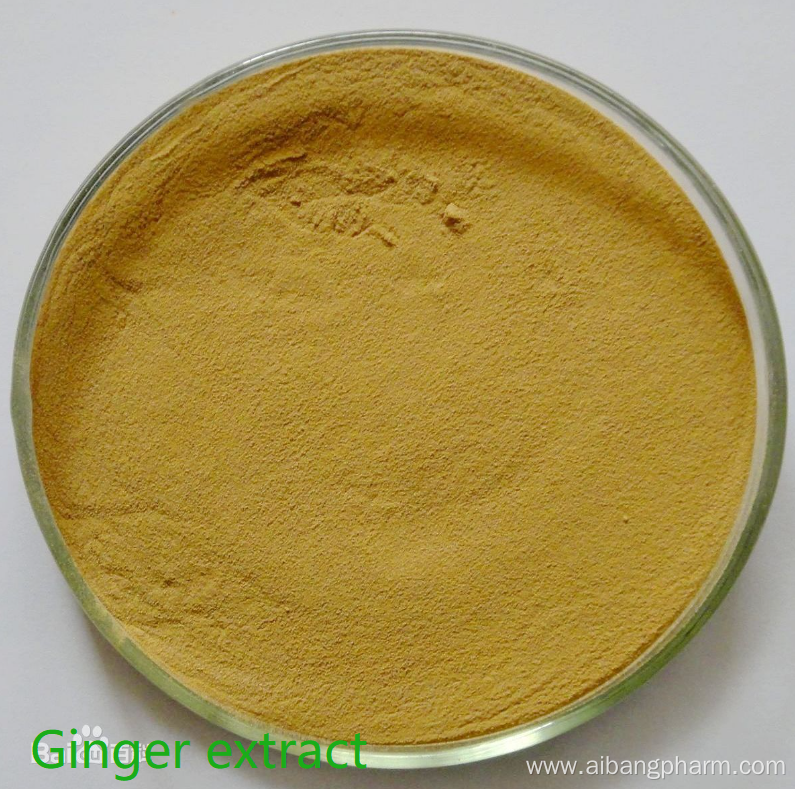 Natural Largehead Atractylodes Rhizome Extract Powder