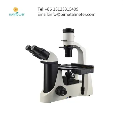 Budget-Friendly Scanning Electron Microscope (SEM) Solutions: Affordable SEM Devices and Technologies