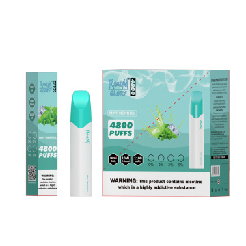 Blueberry bubblegum RandM 4800puffs