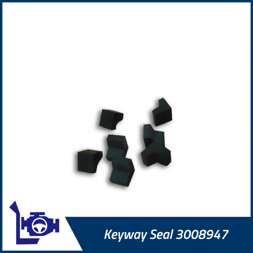 3008947 4VBE34RW3 KEDİ YOLU SEAL