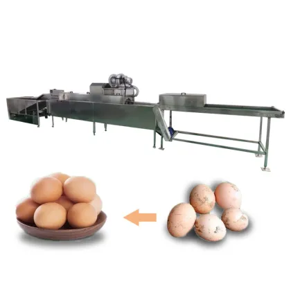 Semi-Automatic Fertilized Chicken and Duck Egg Washer for Farms