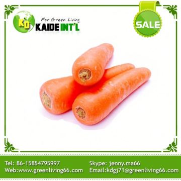 Shandong Bulk 200g-250g Carrot Fresh Vegetable