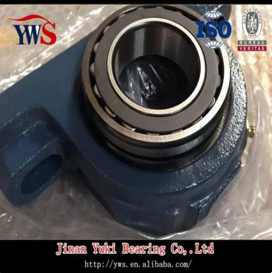 Syr1.15/1.16 Pillow Block Bearing with Cast Iron Housing