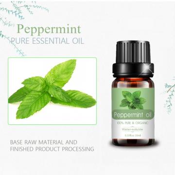 OEM 100% Pure Peppermint Essential Oil For Diffuser