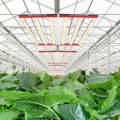 301B Bar LED Grow Light Planta de interior 700 vatios